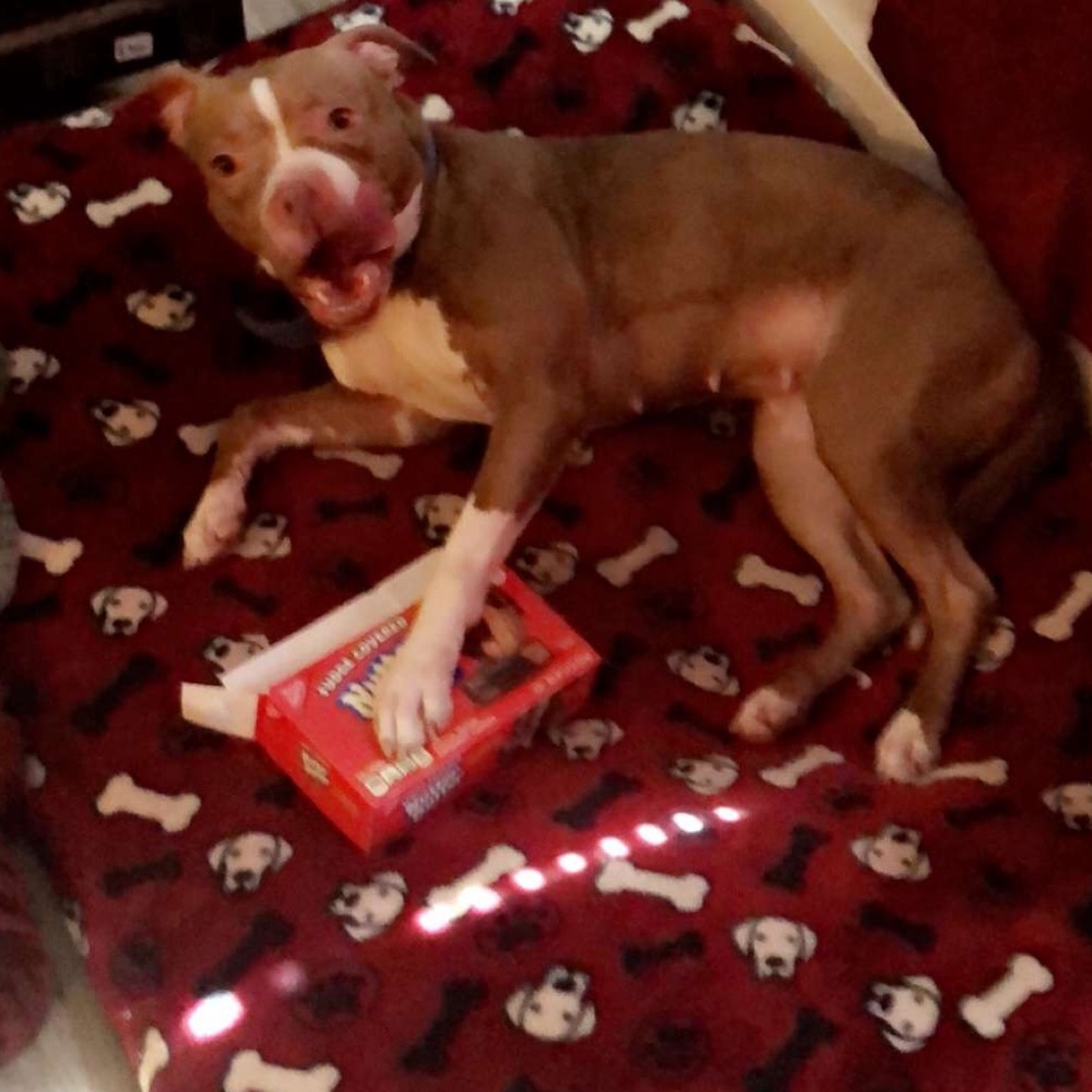 Meet your Posher, PUA